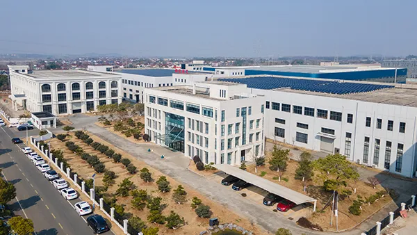Company Profile