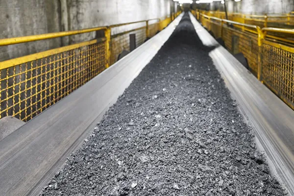 Industrial Gearboxes & Speed Reducers for Coal-Fired Power Plant Conveyors