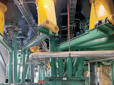 Cycloidal speed reducers for fish feed production lines